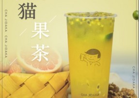 球探体育比分网：熊猫果茶